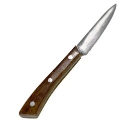 Small Plastic Paring Knife Prop(Small Plastic Paring Knife Prop)