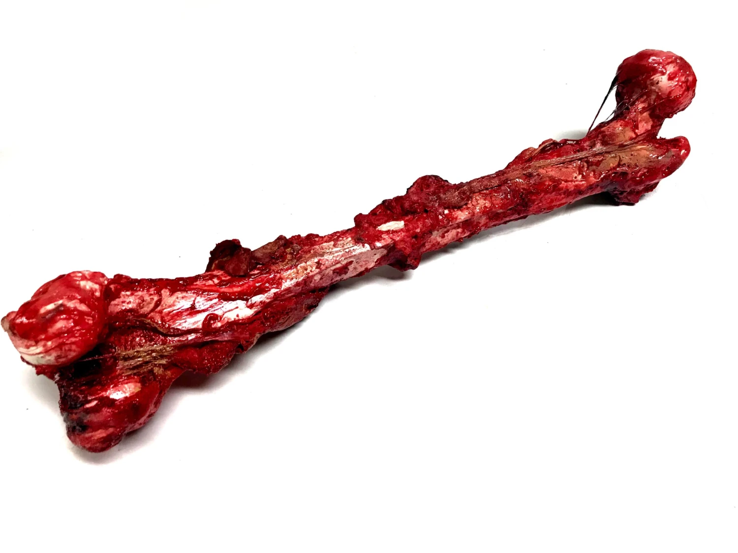 Bloody, Grisly Femur Bone Special Effects Prop With Realistic Skin And Gore(Newrulefx Brand Bloody Grisly Femur Bone Special Effects Prop With Realistic Skin And Gore) 3 Bloody, Grisly Femur Bone Special Effects Prop With Realistic Skin And Gore(Newrulefx Brand Bloody Grisly Femur Bone Special Effects Prop With Realistic Skin And Gore)