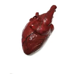 Bloody Hand-Painted Heart Flexible Foam Rubber Special Effects Life-Sized Prop(Newrulefx Brand Bloody Hand Painted Heart Flexible Foam Rubber Special Effects Life Sized Prop) -Newrulefx Store 36042f54 b74d 4326 ac32 f2776233be93