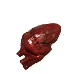 Bloody Hand-Painted Heart Flexible Foam Rubber Special Effects Life-Sized Prop(Newrulefx Brand Bloody Hand Painted Heart Flexible Foam Rubber Special Effects Life Sized Prop) -Newrulefx Store 384a5308 575b 4359 9c95 f60aaa5809ee