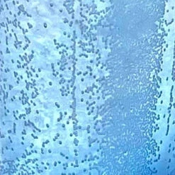 SMASHProps Breakaway Large Mason Jar Prop(Newrulefx Brand Smashprops Breakaway Large Mason Jar Prop) -Newrulefx Store 5ada2f96 8d40 46fe 9400 1df7c5ec4fcb