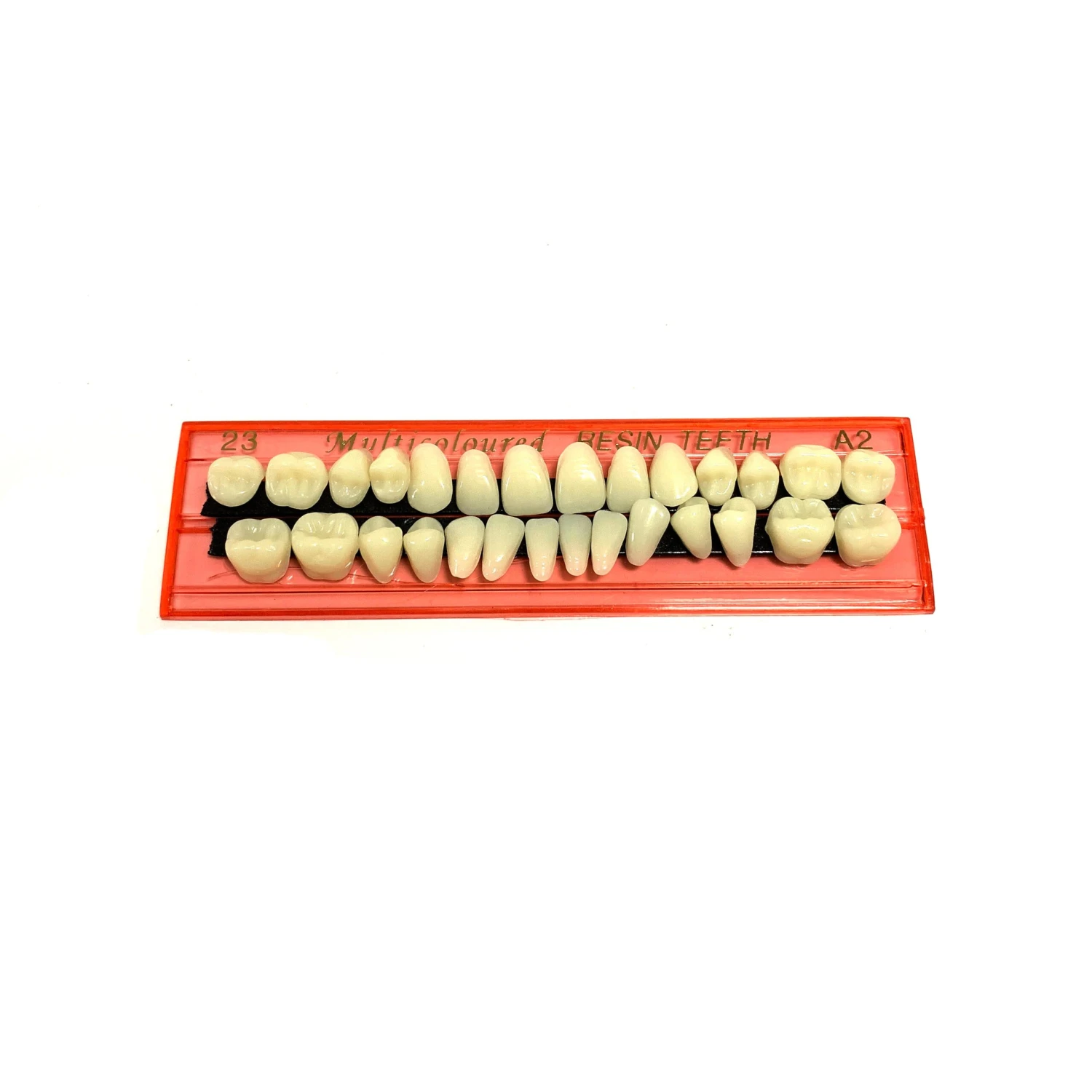 Professional Grade Fake Resin Teeth Set - 28 Pieces(New False Teeth Loose) 3 Professional Grade Fake Resin Teeth Set - 28 Pieces(New False Teeth Loose) - Image 2