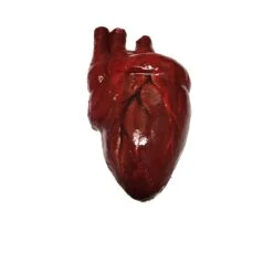 Bloody Hand-Painted Heart Flexible Foam Rubber Special Effects Life-Sized Prop(Newrulefx Brand Bloody Hand Painted Heart Flexible Foam Rubber Special Effects Life Sized Prop) -Newrulefx Store 878b9315 4270 40af 9dcc 075cccafefda