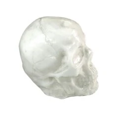 Breakaway Small Skull(Newrulefx Brand Breakaway Small Skull) 9 Breakaway Small Skull(Newrulefx Brand Breakaway Small Skull) -Newrulefx Store 8f276383 bc64 4ff0 b511 e8b1a37a0458