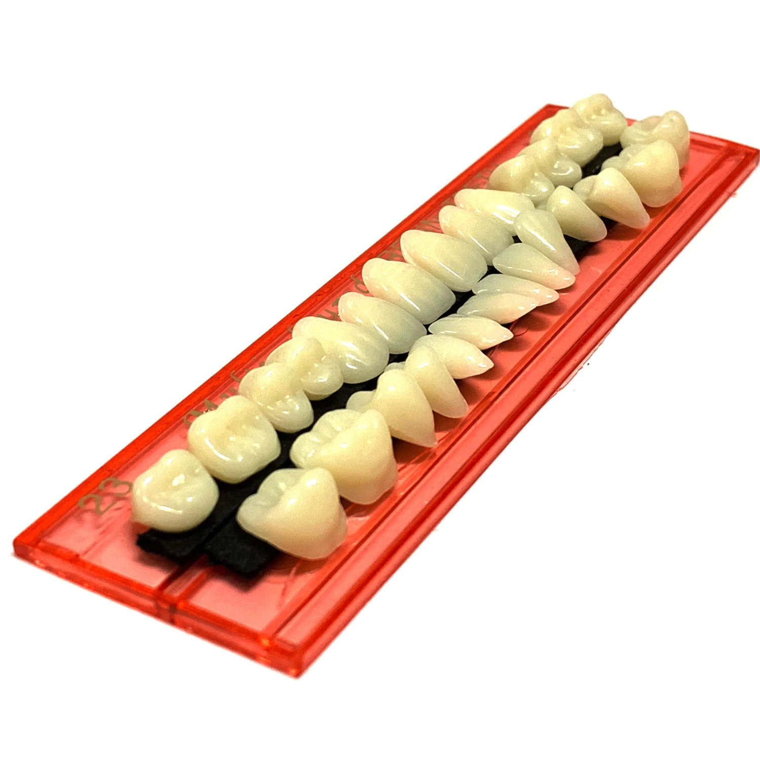 Professional Grade Fake Resin Teeth Set - 28 Pieces(New False Teeth Loose) 5 Professional Grade Fake Resin Teeth Set - 28 Pieces(New False Teeth Loose) - Image 4