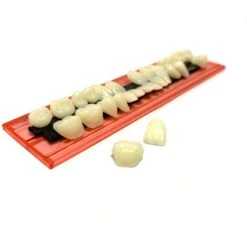 Professional Grade Fake Resin Teeth Set - 28 Pieces(New False Teeth Loose)