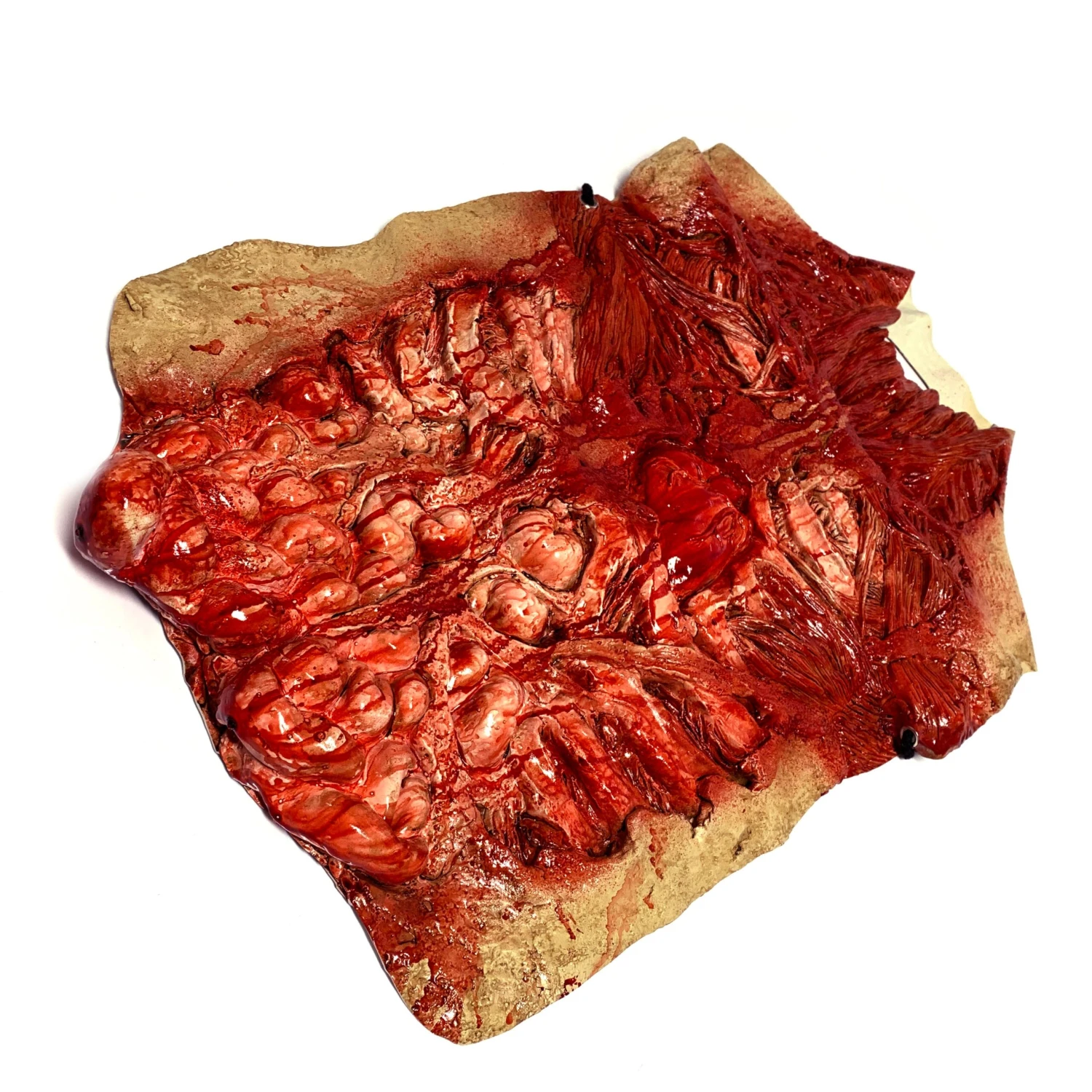 Latex Rubber Bloody Meat Suit(Newrulefx Brand Latex Rubber Bloody Meat Suit) 4 Latex Rubber Bloody Meat Suit(Newrulefx Brand Latex Rubber Bloody Meat Suit) - Image 2