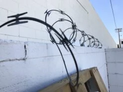 Plastic Coiled Imitation Metal Razor Wire 20ft - BLACK(Newrulefx Brand Plastic Coiled Imitation Metal Razor Wire 20ft Black) 11 Plastic Coiled Imitation Metal Razor Wire 20ft - BLACK(Newrulefx Brand Plastic Coiled Imitation Metal Razor Wire 20ft Black) -Newrulefx Store 9a2534d0 5aff 4999 970e 18ad615e1d2f 7474d8a9 8de4 4f60 9070 f79b68e77e31