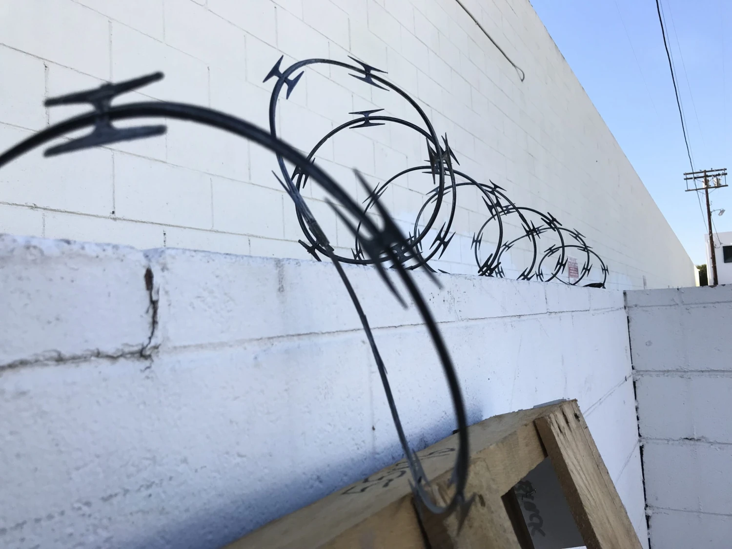 Plastic Coiled Imitation Metal Razor Wire 20ft - BLACK(Newrulefx Brand Plastic Coiled Imitation Metal Razor Wire 20ft Black) 5 Plastic Coiled Imitation Metal Razor Wire 20ft - BLACK(Newrulefx Brand Plastic Coiled Imitation Metal Razor Wire 20ft Black) - Image 3