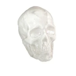 Breakaway Small Skull(Newrulefx Brand Breakaway Small Skull)