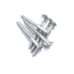 Plastic Screws - 6pc. Prop Or Decoration Use(Plastic Screws 6pc Prop Or Decoration Use)