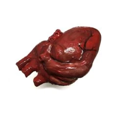 Bloody Hand-Painted Heart Flexible Foam Rubber Special Effects Life-Sized Prop(Newrulefx Brand Bloody Hand Painted Heart Flexible Foam Rubber Special Effects Life Sized Prop) -Newrulefx Store a4676012 345d 4e67 bb22 ec3bd55252bf