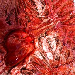 Latex Rubber Bloody Meat Suit(Newrulefx Brand Latex Rubber Bloody Meat Suit) 9 Latex Rubber Bloody Meat Suit(Newrulefx Brand Latex Rubber Bloody Meat Suit) -Newrulefx Store bbad1178 4165 48a5 880c 8e1134547e35