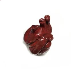Bloody Hand-Painted Heart Flexible Foam Rubber Special Effects Life-Sized Prop(Newrulefx Brand Bloody Hand Painted Heart Flexible Foam Rubber Special Effects Life Sized Prop) -Newrulefx Store ed557a49 e66b 427e bc83 cece358bcf26