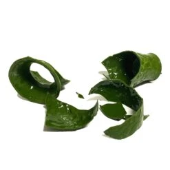 SMASHProps Breakaway Large Georgian Vase 7.5 Inch(Newrulefx Brand Smashprops Breakaway Large Georgian Vase 7 5) 37 SMASHProps Breakaway Large Georgian Vase 7.5 Inch(Newrulefx Brand Smashprops Breakaway Large Georgian Vase 7 5) -Newrulefx Store f6399101 95de 4fe7 9a4b 7eb46b084b70