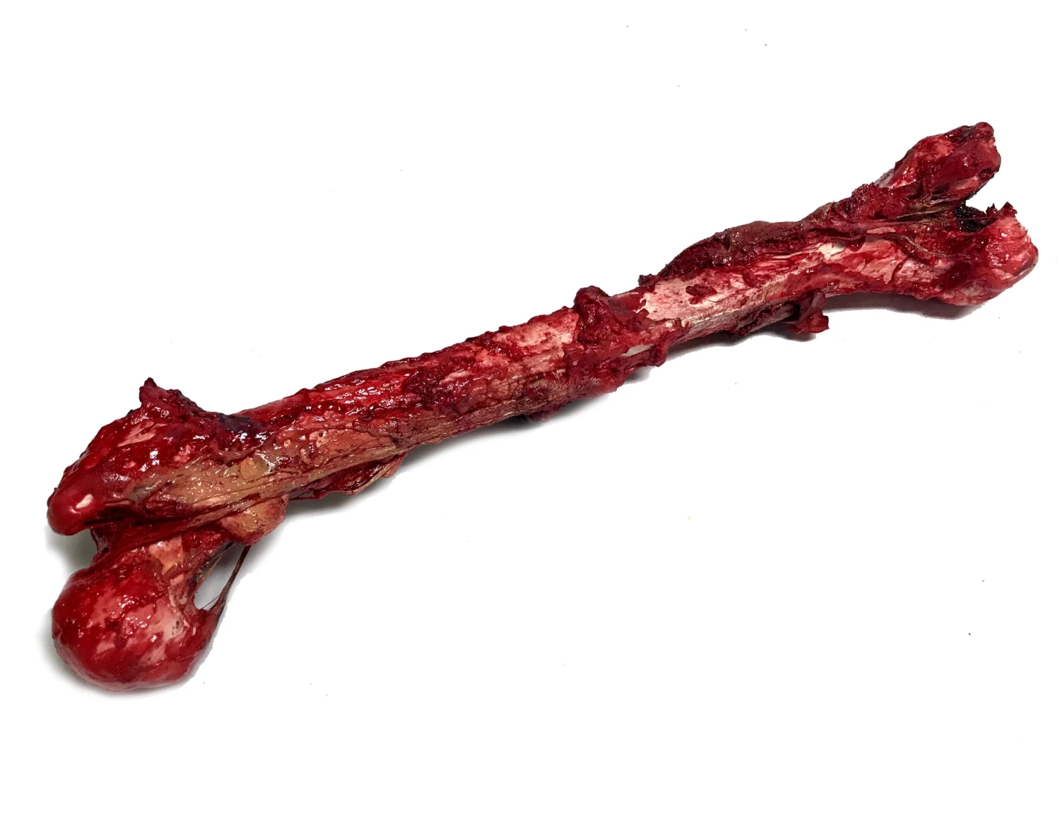 Bloody, Grisly Femur Bone Special Effects Prop With Realistic Skin And Gore(Newrulefx Brand Bloody Grisly Femur Bone Special Effects Prop With Realistic Skin And Gore) 4 Bloody, Grisly Femur Bone Special Effects Prop With Realistic Skin And Gore(Newrulefx Brand Bloody Grisly Femur Bone Special Effects Prop With Realistic Skin And Gore) - Image 2